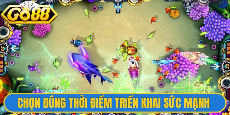 Chọn đúng thời điểm triển khai sức mạnh 