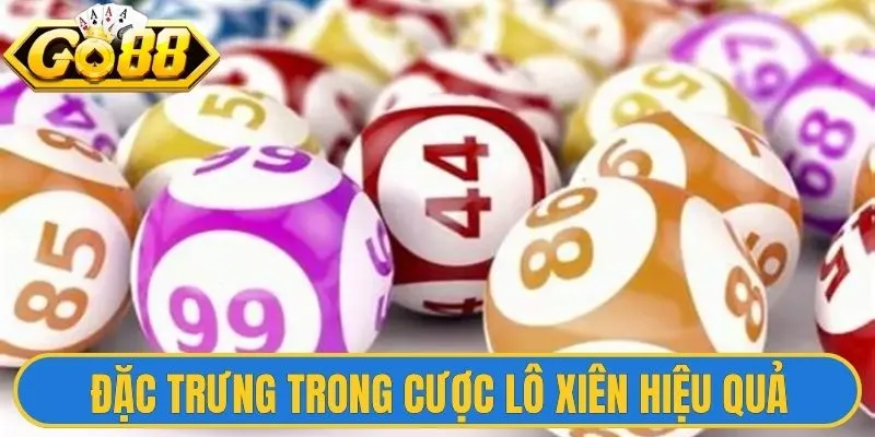 Điểm đặc trưng trong cược lô xiên hiệu quả