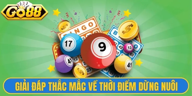 Kỹ Thuật Nuôi Lô Khung - Bí Quyết Tăng Lợi Nhuận Hiệu Quả 3 Giải đáp thắc mắc về thời điểm dừng nuôi